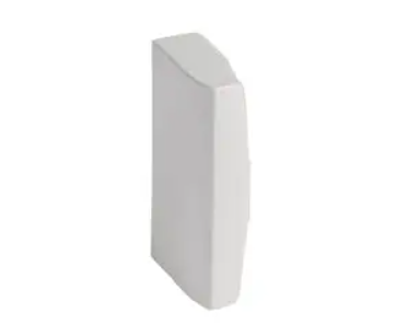 Legrand DLP-S End Cap 100x50 mm